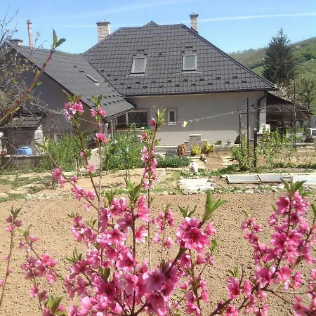 Privat Gretka Homestay Hnusta